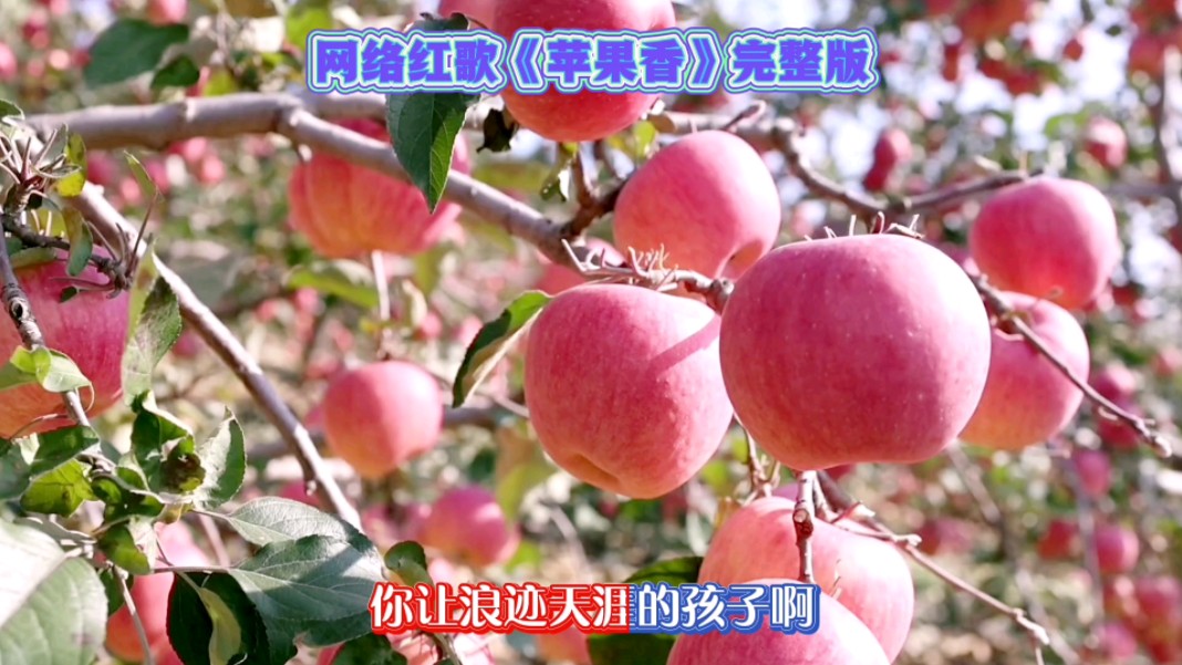 苹果香舞台版问鼎大舞台app下载苹果版